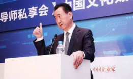 娱乐圈吃瓜王健林,娱乐圈吃瓜王，揭秘明星幕后故事